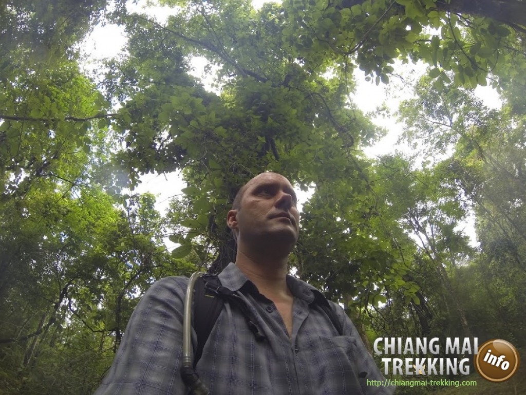 3-days/2-nights Trekking Tour | Chiang Mai Trekking | Das beste Trekking in Chiang Mai mit Piroon Nantaya